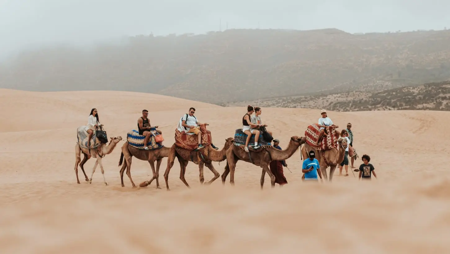 Camel Ride in Timlalin dunes – A Unique Desert Adventure Near Agadir